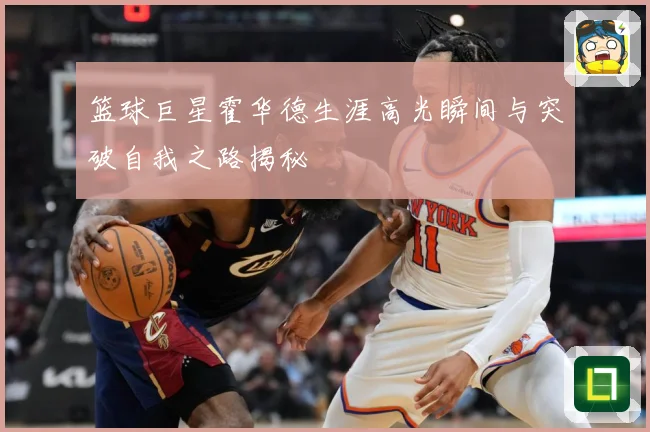 篮球巨星霍华德生涯高光瞬间与突破自我之路揭秘